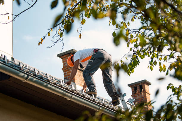 Fast & Reliable Emergency Roof Repairs in Prospect, OH