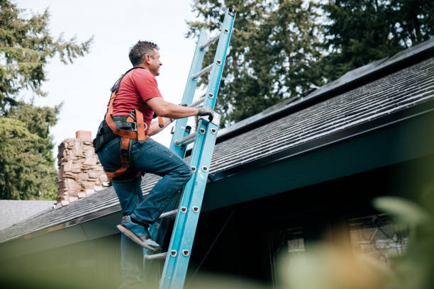 Best Emergency Roof Repair Services  in Prospect, OH